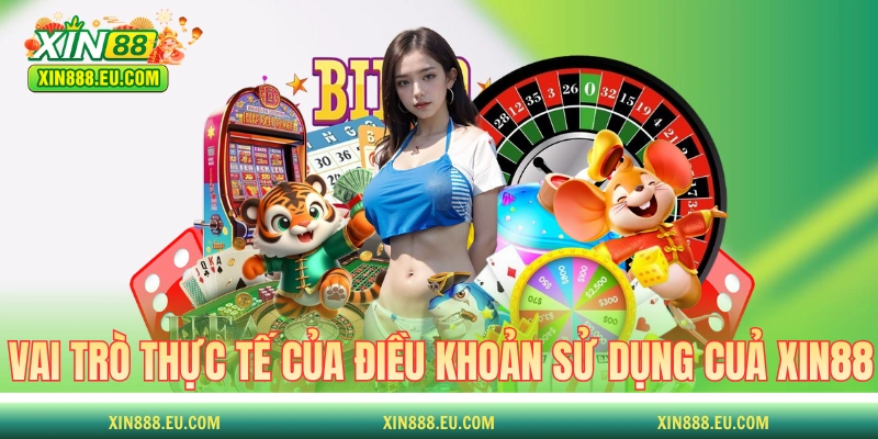 Vai trò thực tế của điều khoản sử dụng cuả XIN88 